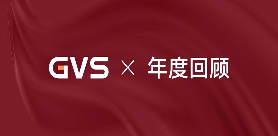 GVS 2024年終總結(jié)，請(qǐng)您查收